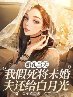 全章节小说婚礼当天，我假死将未婚夫还给白月光金小垚最新阅读