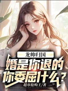 超市抢购王最新小说《龙帅归国：婚是你退的，你委屈什么？》苏护萧红叶在线试读