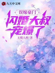 误嫁豪门，闪婚大叔宠爆了小说(连载文)-艾绯凌夜无广告阅读