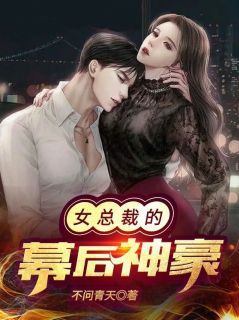 许晨苏清寒(原文完整)《女总裁的幕后神豪》无弹窗免费阅读