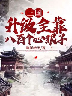 《三国：升级全靠八百个心眼子刘尚小碧》三国：升级全靠八百个心眼子全文免费阅读【完整章节】