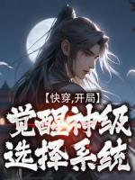 朱柏张无忌《快穿：开局觉醒神级选择系统》小说完整版