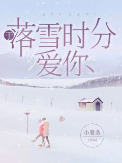 柚宁陆浔夏芷柔全本小说 《于落雪时分爱你》全文免费在线阅读