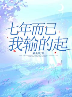 黎楠裴经年主角的小说完结版《七年而已，我输的起》全集