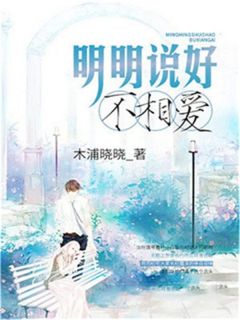 《明明说好不相爱》小说免费阅读 叶落纪霆深大结局完整版