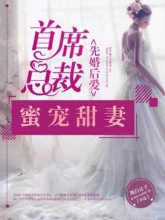 苑锦沈白《先婚后爱：首席总裁蜜宠甜妻》全章节免费阅读