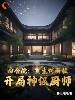 《四合院重生何雨柱，开局神级厨师》何雨柱何雨水全章节目录免费阅读