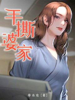 茜茜之南主角的小说完结版《手撕婆家》全集