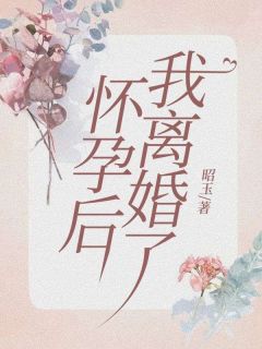 怀孕后我离婚了李昭豆子小说全文-怀孕后我离婚了小说