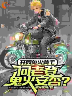 主人公陆野冉然然在线免费试读《开局鬼火黄毛，问老登鬼火安否？》最新章节列表