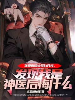 《你要离婚去找白月光，发现我是神医后悔什么》完整版-林天徐琳琳在线全文阅读