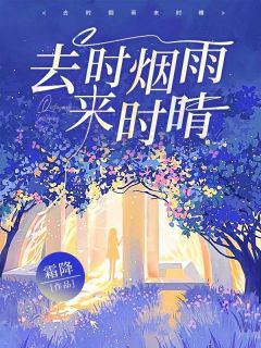 去时烟雨来时晴(林烟雨陆文昭)全文完整版阅读