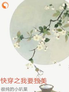 李晓苏培盛全本章节在线阅读大结局