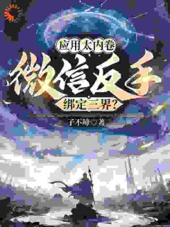 林洛柳青衣《应用太内卷，微信反手绑定三界？》全章节免费阅读