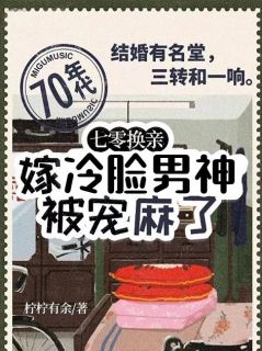 七零换亲，嫁冷脸男神被宠麻了小说(完结)-高文玥陆向野章节阅读