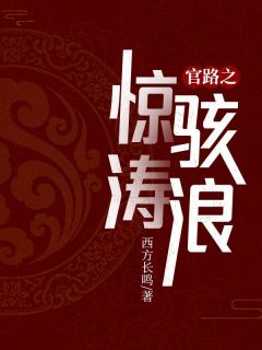 官路之惊涛骇浪知乎小说最新章节阅读