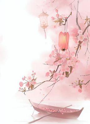 《清穿：从御膳房宫女到皇后》无广告阅读 苏琳王婧柔免费在线阅读