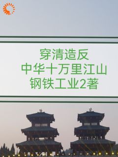 老书虫书荒推荐穿清造反：中华十万里江山txt小说阅读