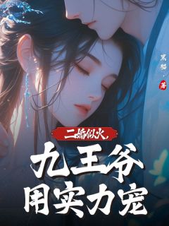 精选好书《二婚似火，九王爷用实力宠》无删减版全文在线