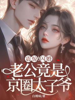 《震惊！闪婚老公竟是京圈太子爷》完整版-陈晚妤谢知韫在线全文阅读