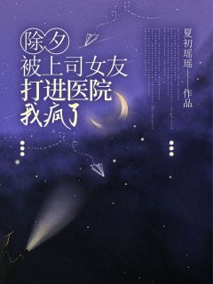 《除夕被上司女友打进医院，我疯了》完整版-林珂徐正涛在线全文阅读