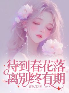 待到春花落，离别终有期小说的书名是什么