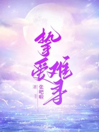 姜悦傅恒主角的小说完结版《挚爱难寻》全集