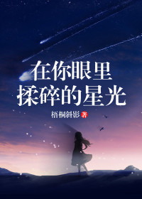 《在你眼里，揉碎的星光》小说全文在线阅读 秦简盛怀锦小说全文