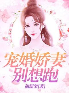 宠婚娇妻别想跑全本资源 苏念傅允琛精彩章节未删减版