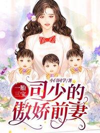 一胎三宝：司少的傲娇前妻小说全集免费在线阅读（余槿安司铭渊）