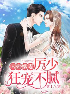 《闪婚嫩妻：厉少狂宠不腻》全文免费章节在线试读 乔落厉墨寒小说