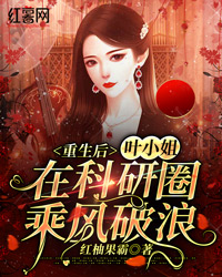 《重生后，叶小姐在科研圈乘风破浪》完结版精彩试读 《重生后，叶小姐在科研圈乘风破浪》最新章节列表