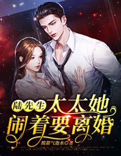 《陆先生，太太她闹着要离婚》小说全文精彩试读 苏青青陆时遇小说阅读