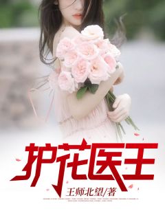 护花医王小说(完结版)-萧道成林伊然在线阅读