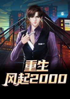 书荒必备《重生：风起2000》全文章节阅读