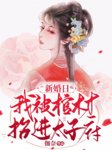 抖音爆款小说《天盛十四年冬云念卿君殇》免费txt全文阅读