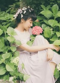 小说推荐《退婚后大佬她又美又飒》完结版全章节阅读