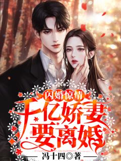 《闪婚惊情：千亿娇妻要离婚》小说免费阅读 白芷叶琛大结局完整版