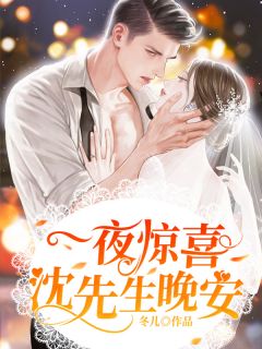 快手热文《一夜惊喜：沈先生，晚安》夏初沈寒川小说推荐