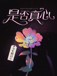 《是否真心》（宋暖陆凉）精彩小说目录阅读