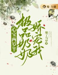 《心宝两岁半：极品奶奶娇宠我》完整版-唐心许轻在线全文阅读