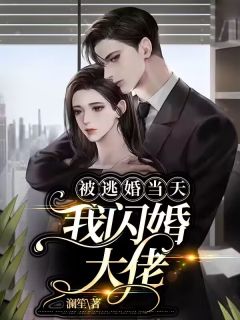 《被逃婚当天，我闪婚大佬》最新章节免费阅读by澜笙无广告小说