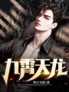 叶尘李婉儿完整版《九霄天龙》全文最新阅读