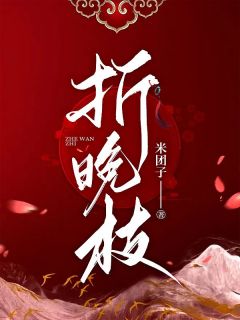 折晚枝小说(完整版)-陆晚李翊章节阅读