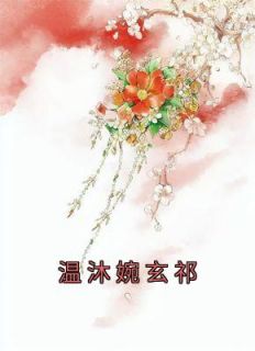 抖音爆款《温沐婉玄祁》温沐婉玄祁无广告阅读