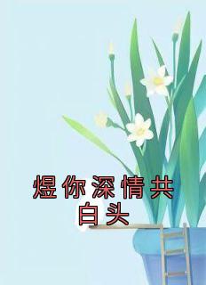 白卉迟沈煜是哪本小说主角 《煜你深情共白头》免费全章节阅读