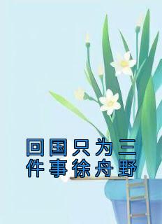 《回国只为三件事徐舟野》周茉徐舟野小说全文阅读