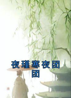 夜团团夜瑾寒小说<夜瑾寒夜团团>全文在线阅读