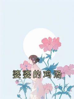 《婆婆的鸡汤》最新章节免费阅读by佚名无广告小说