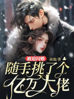 完整版《被迫闪婚，随手挑了个亿万大佬》叶清晚陆珩小说免费在线阅读